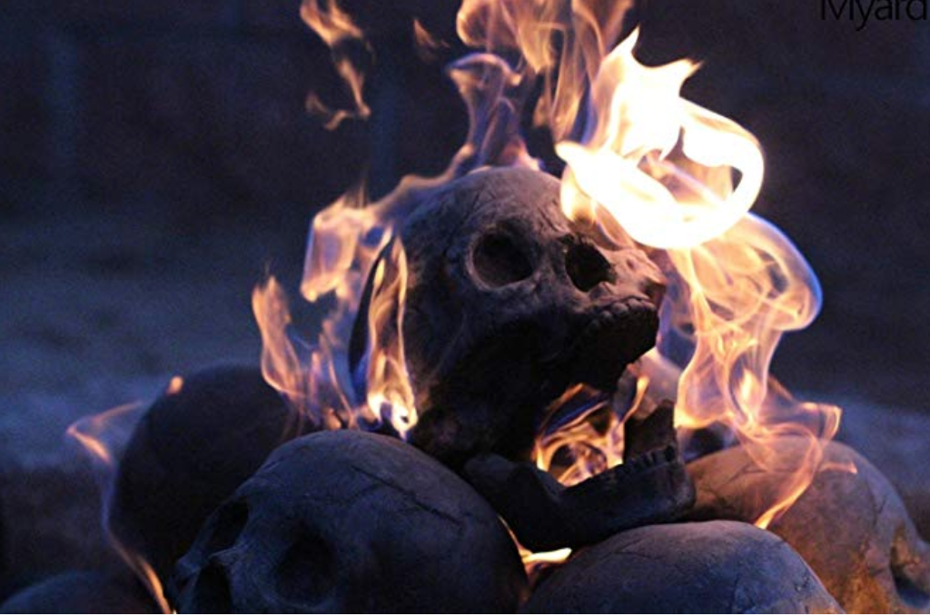 skull head log on fire