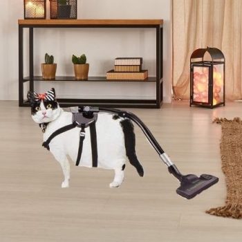 best-house-cat-vacuum