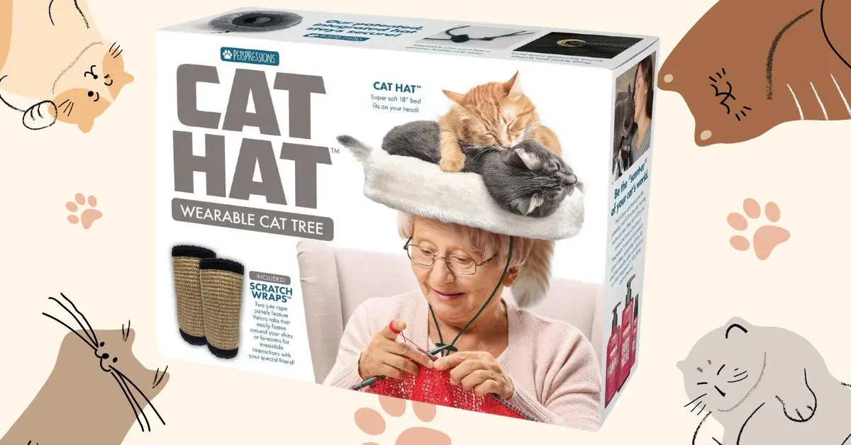 Box of the "Cat Hat," a faux product for cats to sit on, worn by a woman knitting.