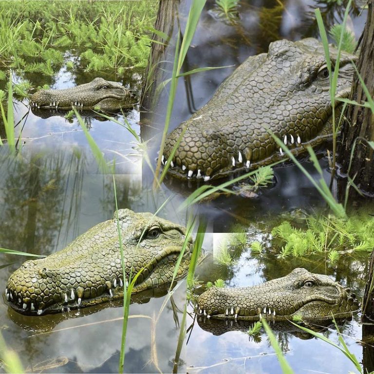 Remote Control Alligator Head For The Water 100 Realistic!