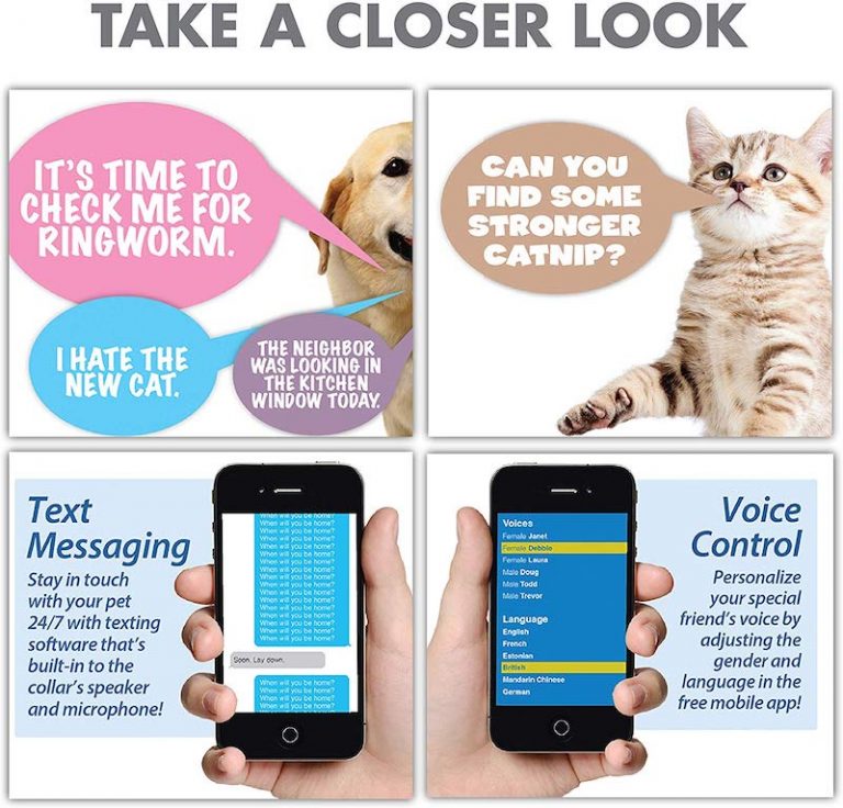 The Pet Translator Collar Device Understand Dog & Cat Languages