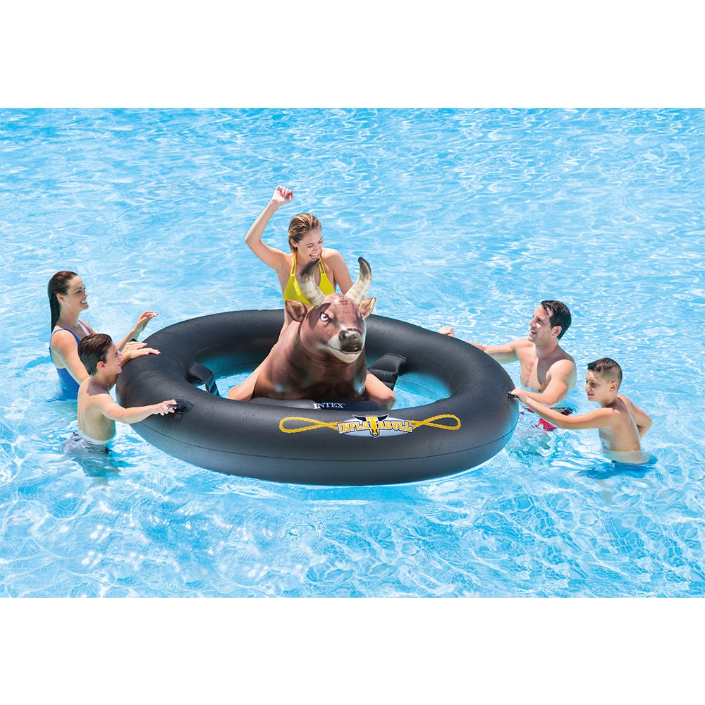 The Inflatable Pool Bull 1
