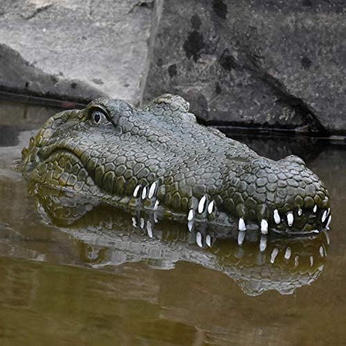 scary remote control alligator head