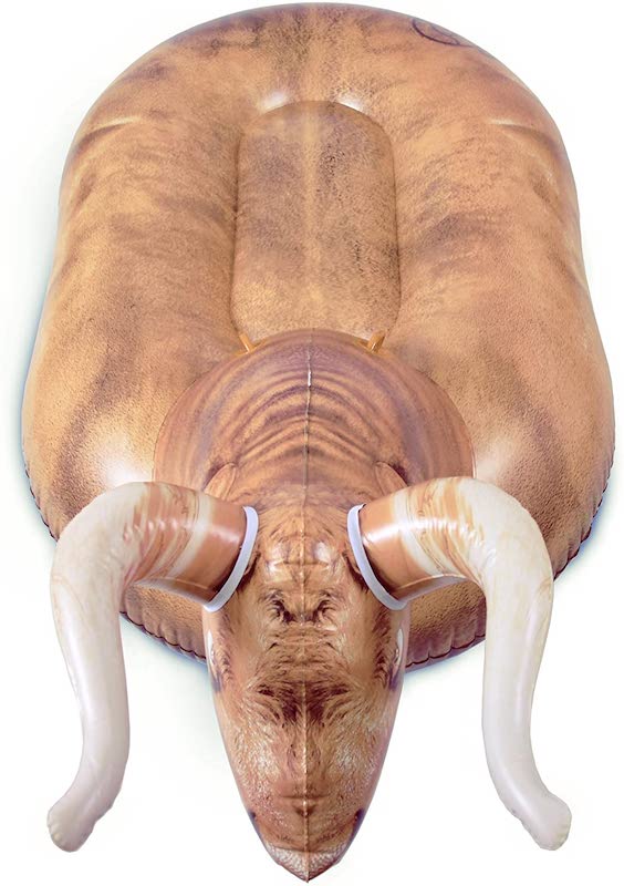 inflatable bull for the pool